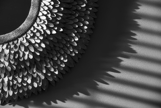 Morning Shadows Morning Shadows