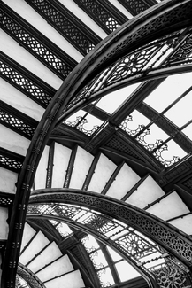 Rookery Rookery