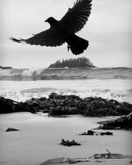 Fly, be free Fly, be free