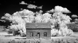 Pioneer House Pioneer House