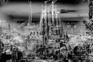 The Misted Sight 2.18 The Misted Sight 2.18