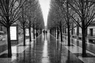 Rainy Allee Rainy Allee