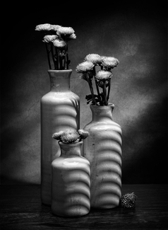 Texture & Shadows Texture & Shadows