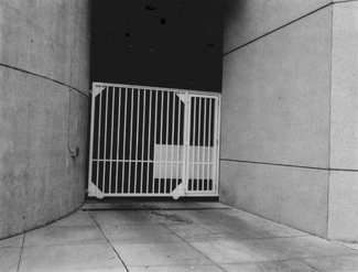 Black and White Polaroid 1 Black and White Polaroid 1