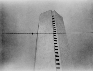 Black and White Polaroid 5 Black and White Polaroid 5