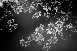 Something behind it #3 Something behind it #3