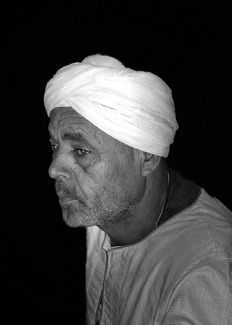 Temple Guardian Temple Guardian