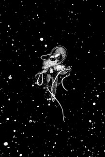 Floating in Space Floating in Space