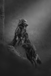 Finding the Light Finding the Light