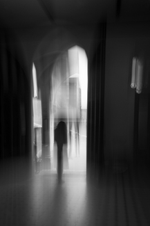 Into the Light Into the Light