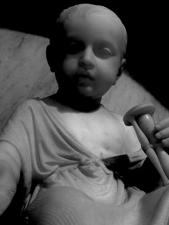 Tempus Fugit Tempus Fugit