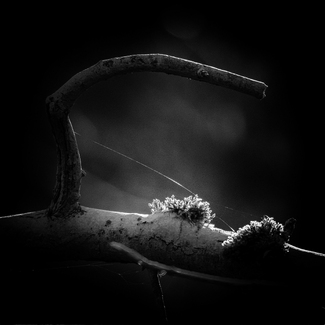 Fly fishing Fly fishing