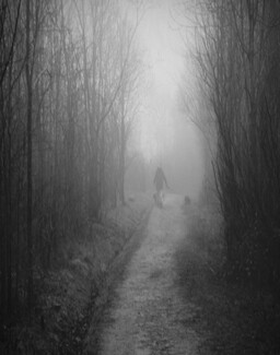 Pathways #2 Pathways #2