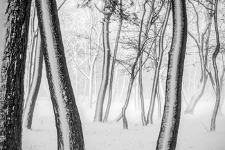 Path of the wind Path of the wind