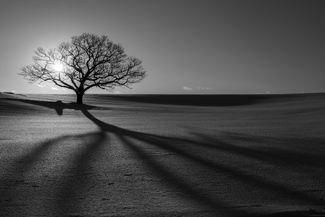 Memory of shadows Memory of shadows