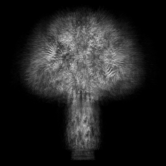 Multi-angled, Multi-opacity, 360-degree Tree Multi-angled, Multi-opacity, 360-degree Tree