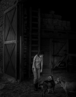 A mother's Love A mother's Love