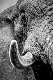 Close Enough Close Enough