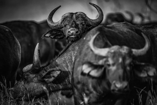 Sunday feeling Sunday feeling