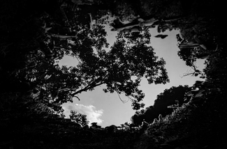 Reflection in a puddle Reflection in a puddle