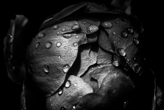 Sleeping Beauty Sleeping Beauty