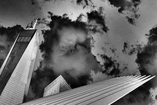 Phoenix rising Phoenix rising