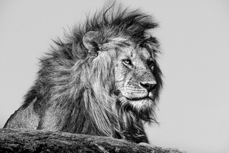 Reconnaissance Reconnaissance