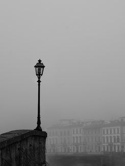 February Morning February Morning