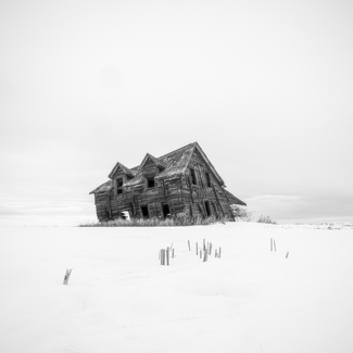 I'm Still Standing I'm Still Standing