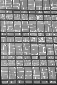 Window Reflections Window Reflections