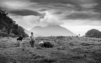 Children of the Hills Children of the Hills