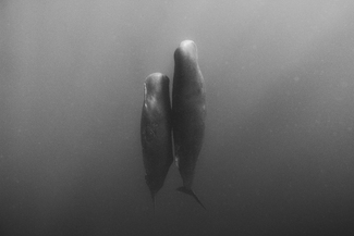 How Deep is Your Love How Deep is Your Love