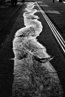 Lebenselixier 1 Lebenselixier 1