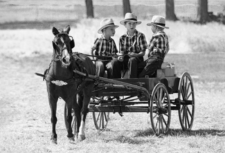 Amish Fun Amish Fun