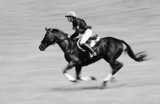 Hitting Her Stride Hitting Her Stride