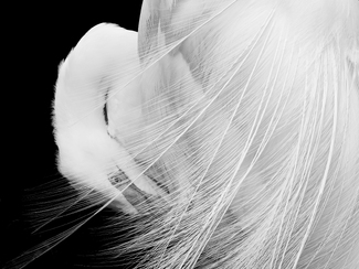 Bridal Veil Bridal Veil