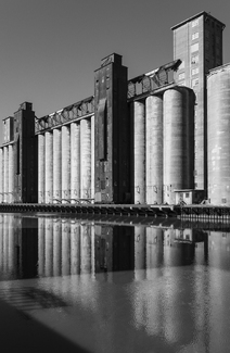 Buffalo's Sentinels  Buffalo's Sentinels