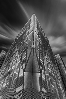 Epine d'acier Epine d'acier