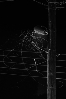 Symphony of Fireflies 3rd Movement Symphony of Fireflies 3rd Movement