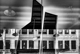 Light bulb reflects Light bulb reflects