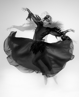 Dark Shadows Dark Shadows