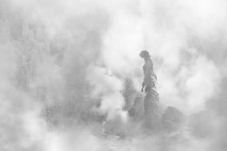 Keeper of the Forest Keeper of the Forest