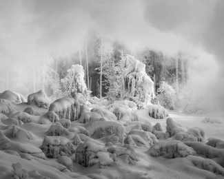 Winter's Grand Reveal Winter's Grand Reveal