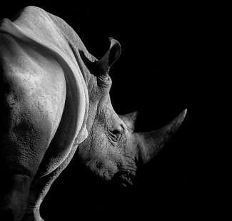 Appearing out of shadows Appearing out of shadows