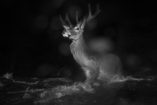 Bad weather crossing Bad weather crossing