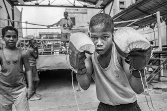 El Principe El Principe