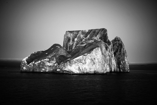 Back tooth of the ocean Back tooth of the ocean