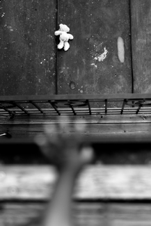 Lost Ground Lost Ground