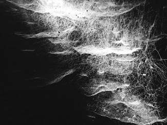 On-line connection On-line connection