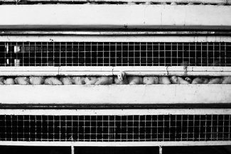 Keep a stiff upper lip Keep a stiff upper lip